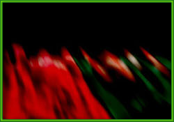 Event Horizon